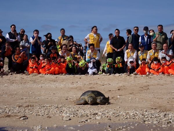 圖2、與國立海洋生物博物館收容中心合作辦理「傷病海龜收容照養、野放及保育宣導活動」