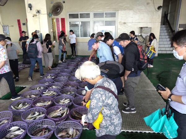 參訪漁獲拍賣。Field trip-Fishing products Auctions