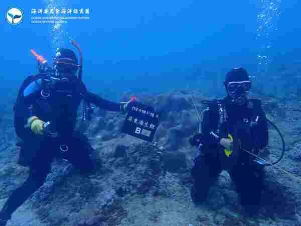 海底垃圾調查