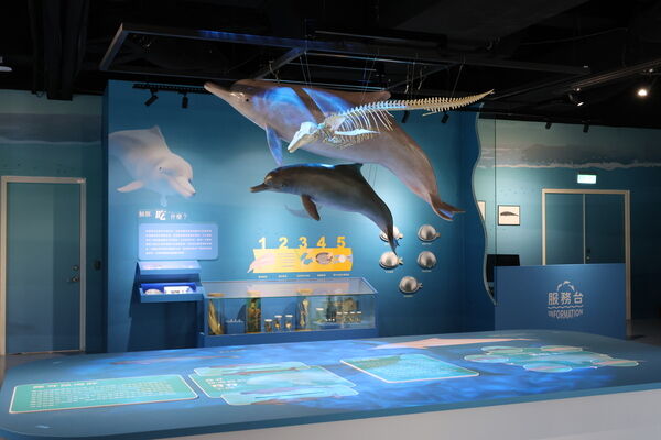 中臺灣海洋保育教育中心_中部重要棲息環境