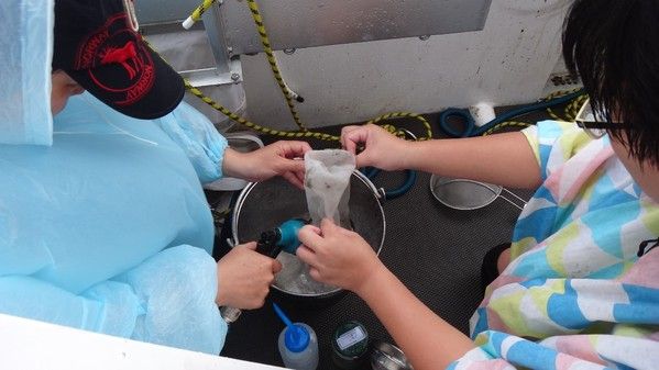 本會海洋保育署與黑潮海洋文教基金會合作調查西南海域微塑膠