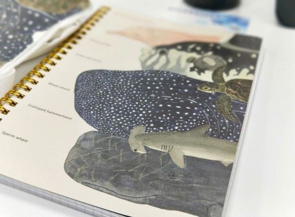海洋藝術家系列