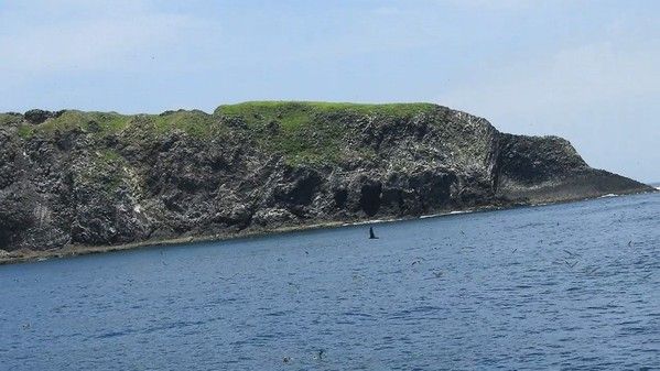 澎湖縣貓嶼海鳥保護區2