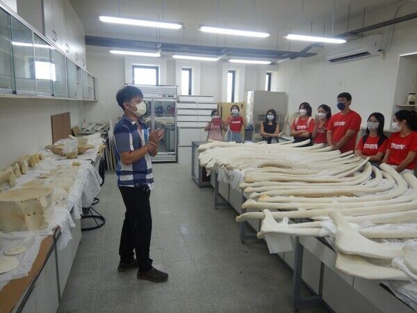 鯨豚骨骼乾燥室與典藏室參觀