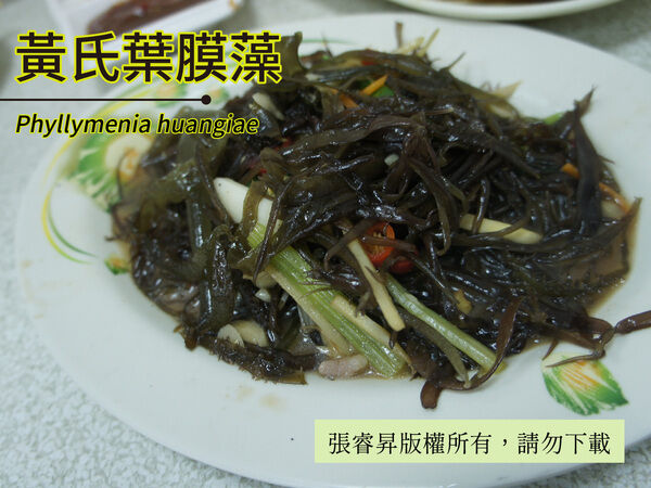 快炒上桌的蜈蚣藻，是一道滑順可口的海菜料理。