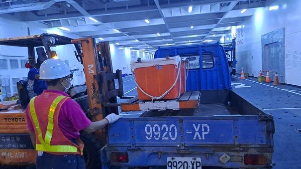 船舶貨艙內「轉車」概況