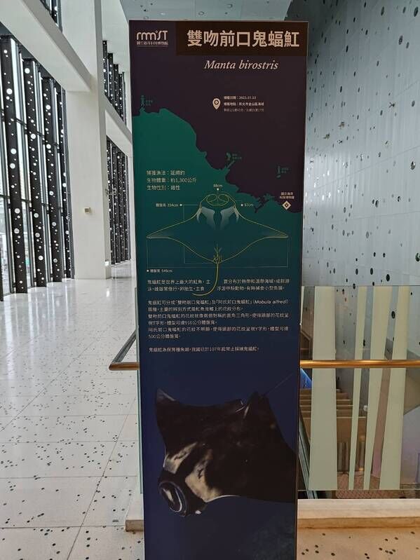 物種介紹看板