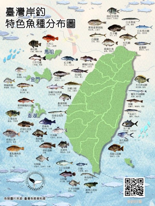 臺灣岸釣特色魚種分布