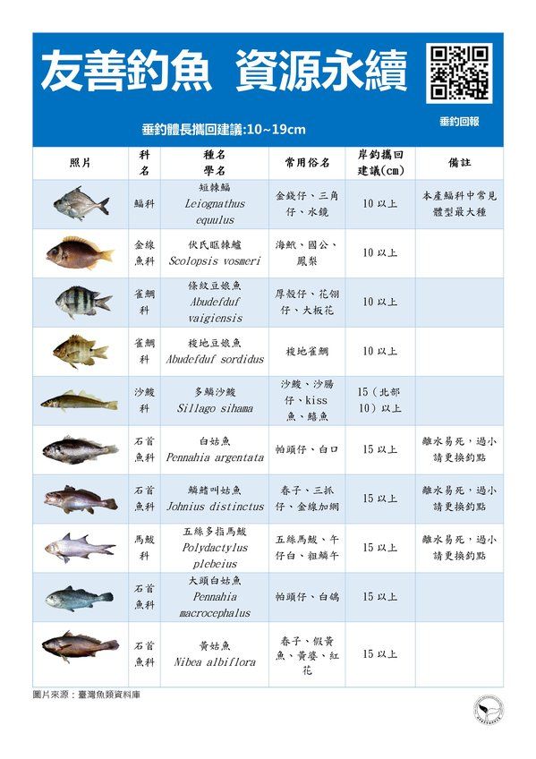 垂釣體長攜回建議10-19cm(共2張)