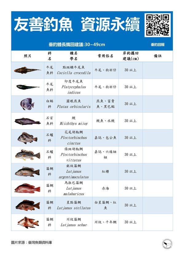 垂釣體長攜回建議30-49cm(共3張)