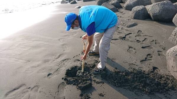 圖3  下挖沙灘確認無油污（1）