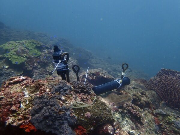 圖一、水下聲學生態監測使用的錄音機
