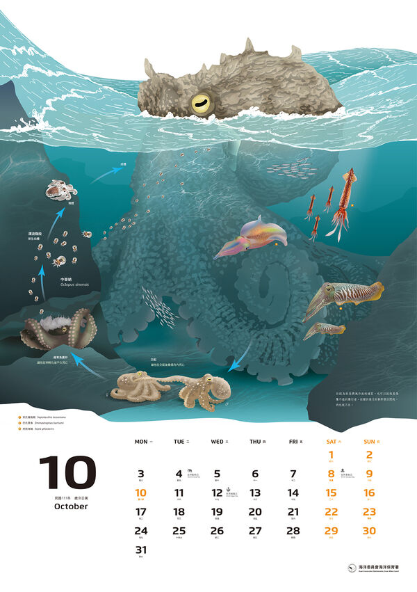 圖５  2022年海洋保育月曆-小浮游的遠行內頁-10月
