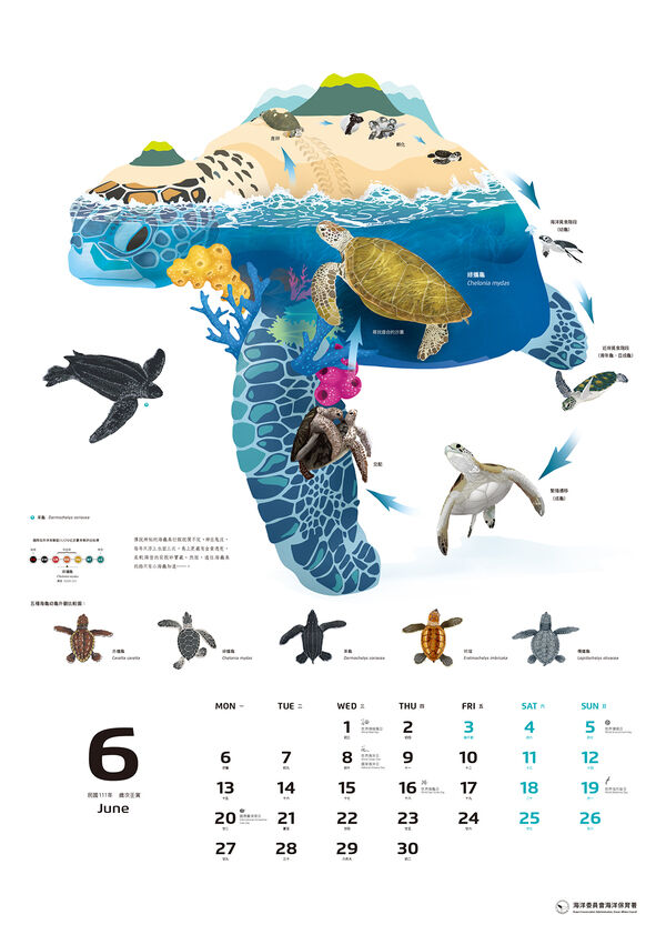 圖４ 2022年海洋保育月曆-小浮游的遠行內頁-6月