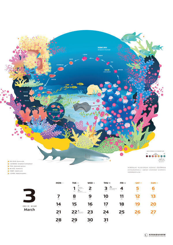 圖３ 2022年海洋保育月曆-小浮游的遠行內頁-3月