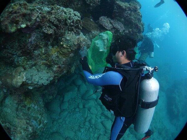 圖二、潛海戰將將於蘭嶼海域進行淨海活動撿拾廢棄口罩