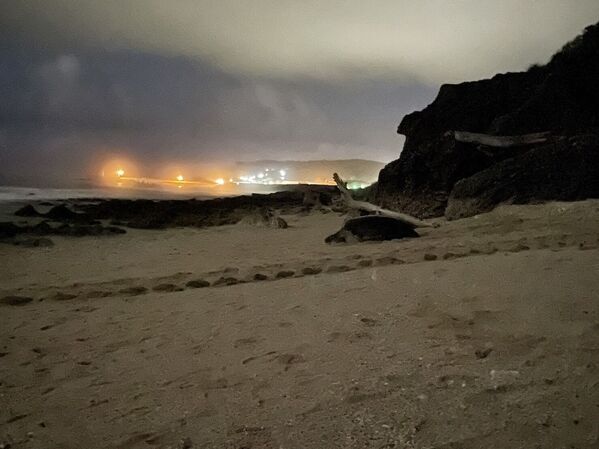 Image 3. Female turtles choose beaches with less light pollution to lay their eggs