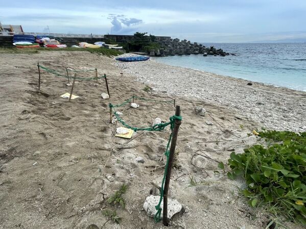 Figure 4. Zhong’ao Beach has recorded the highest number of egg nests in recent years