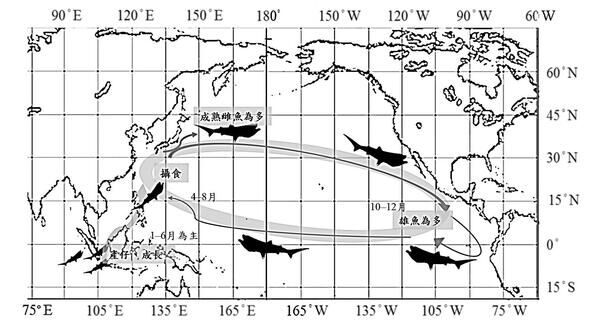 圖5 引用於Animals,2021，國立臺灣海洋大學推測巨口鯊洄游路徑