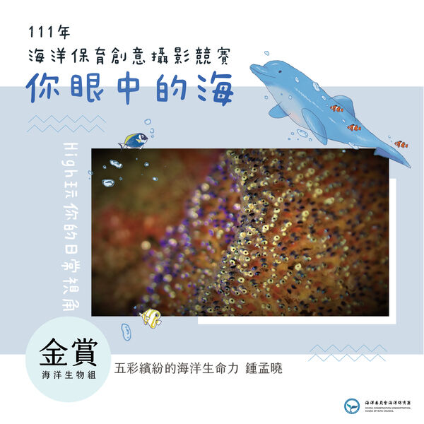 圖6.111海洋保育創意攝影競賽_海洋生物(金賞獎)jpg
