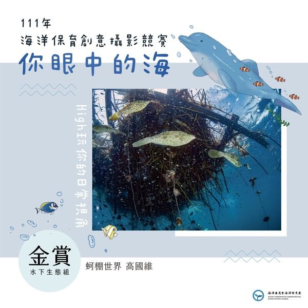 圖9.海洋保育創意攝影競賽_水下生態(金賞獎)