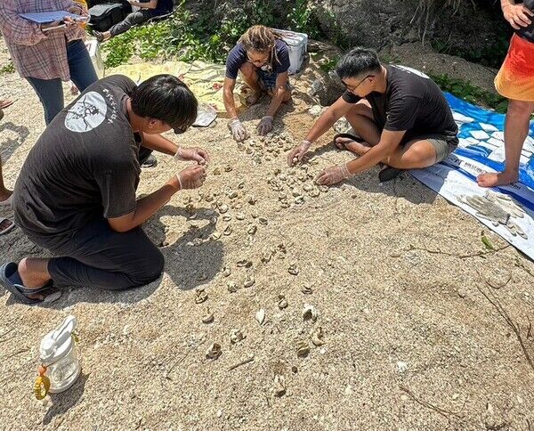 圖3 執行計畫團隊於稚龜大出後5日進行卵窩挖掘紀錄(社團法人台灣咾咕嶼協會提供)|