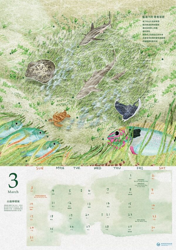圖2 2024年海洋保育月曆-3月