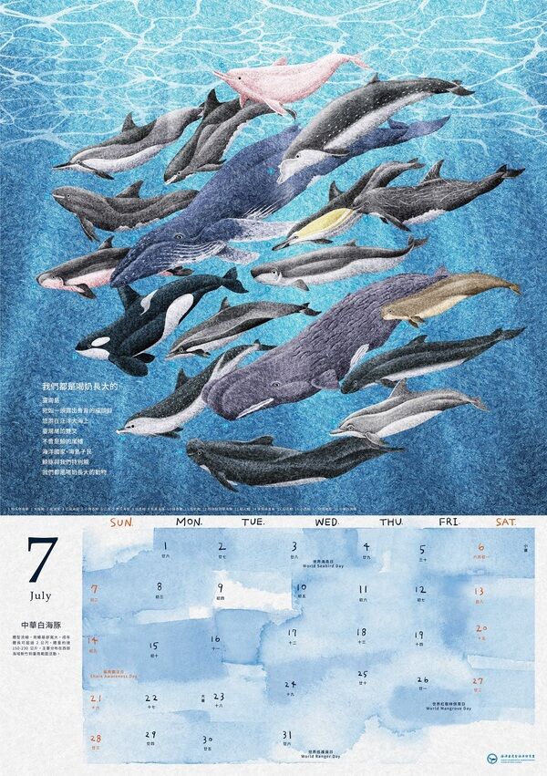 圖4 2024年海洋保育月曆- 7月