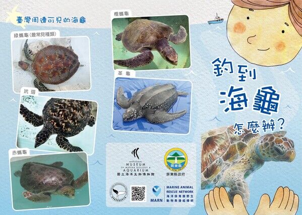 圖5-1 釣到海龜怎麼辦1