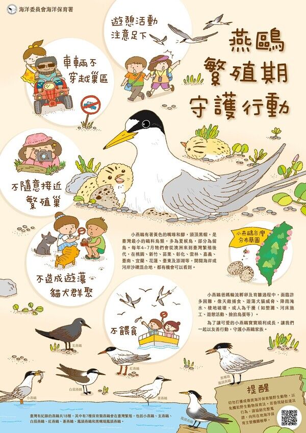 圖3、燕鷗繁殖期守護行動