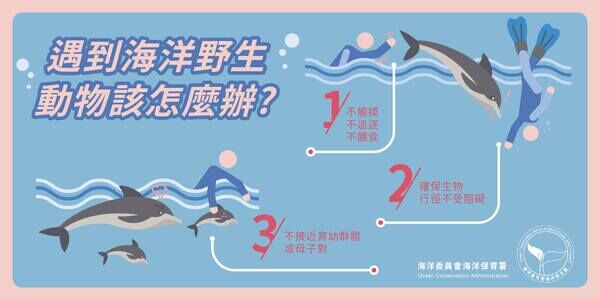 圖一、友善海洋野生動物5不原則