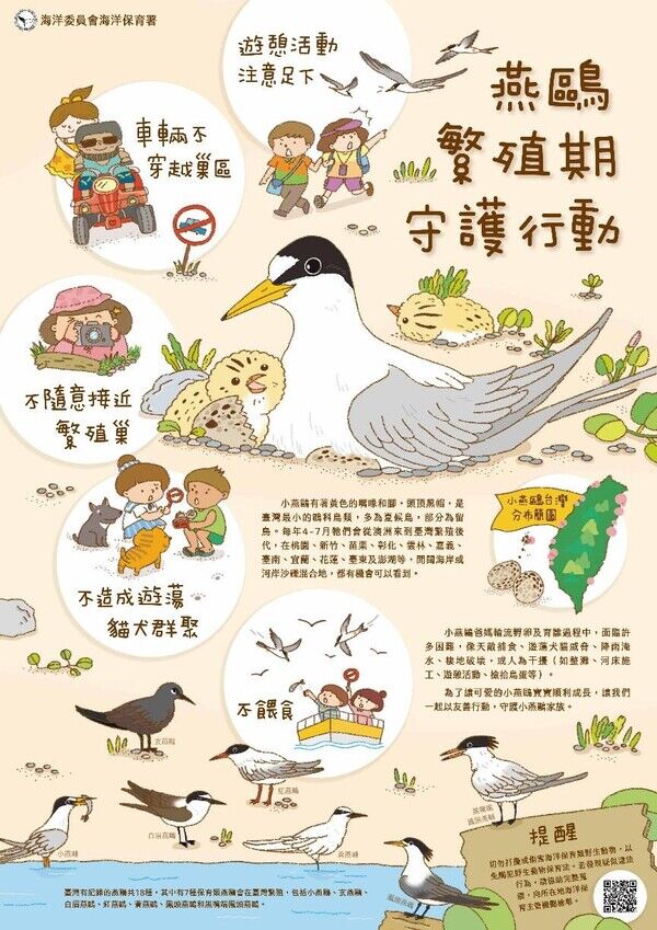 圖1-1燕鷗繁殖期守護行動-中文海報