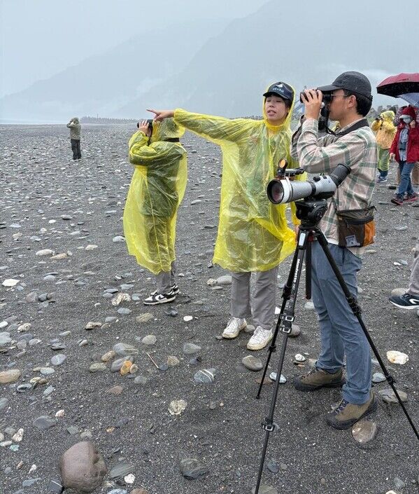 圖5-1、花蓮縣野鳥學會執行海保署「海洋保育在地守護計畫」，帶領新任調查員觀察小燕鷗(花蓮縣野鳥學會提供)