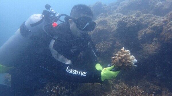 圖1 113年高雄科技大學丁德興老師團隊於墾丁進行珊瑚復育行動。