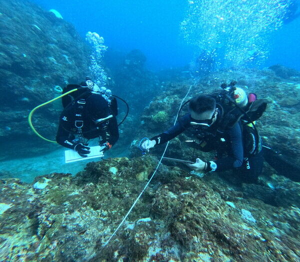 圖1 進行珊瑚礁體檢(受補助單位：社團法人台灣環境資訊協會)