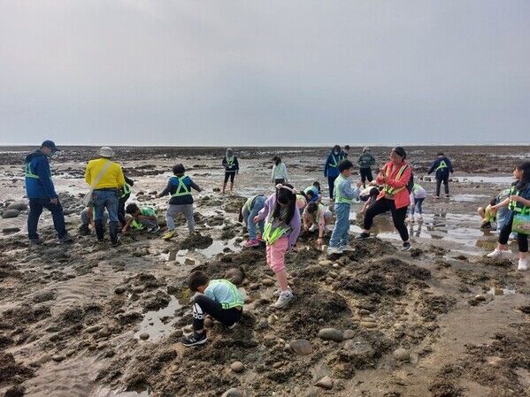 圖5 桃園市觀音區觀音國小帶著學生去實地生態觀察