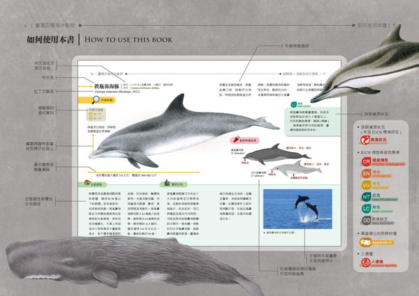 臺灣百種海洋動物圖鑑4