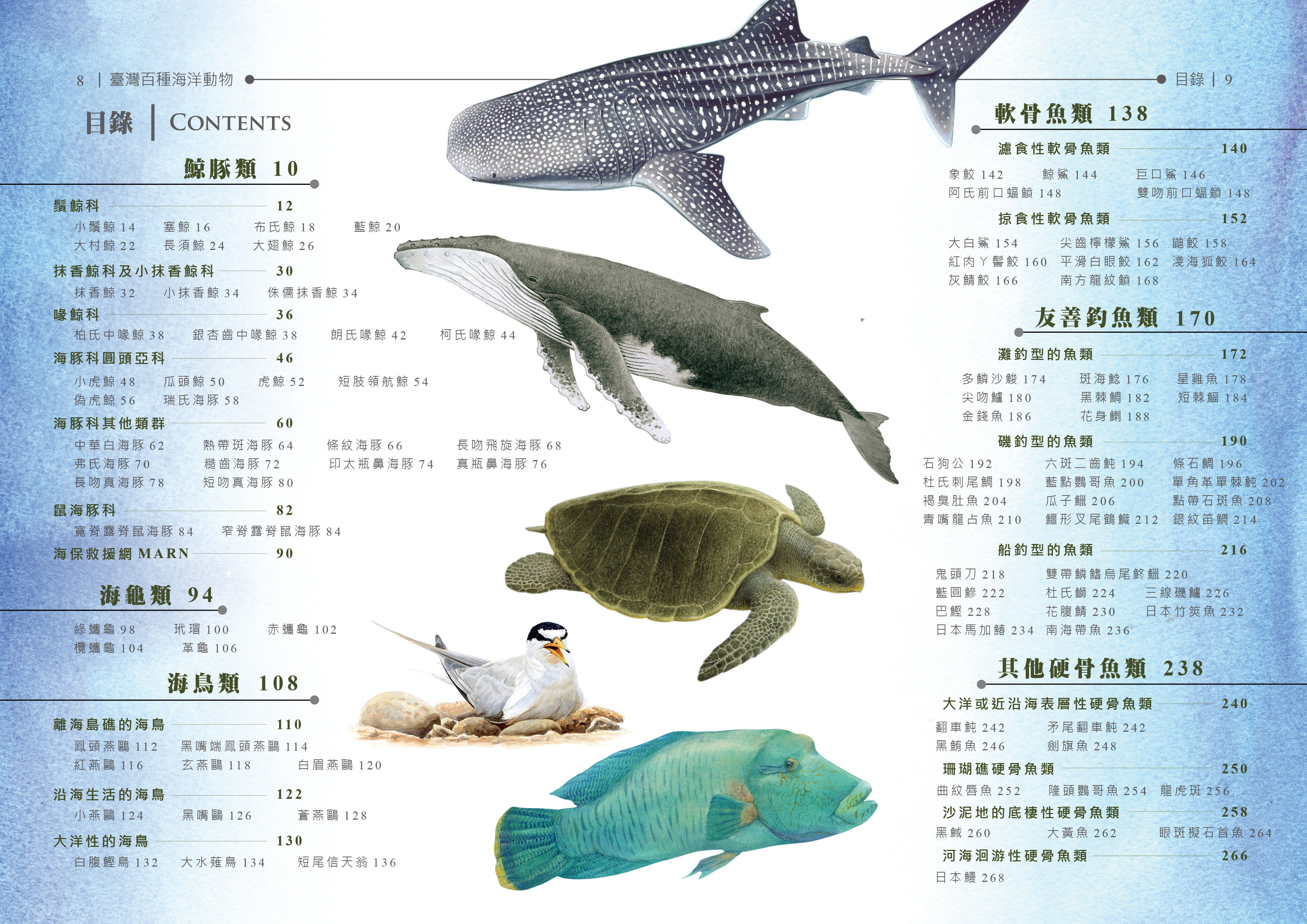 其他出版品 臺灣百種海洋動物圖鑑 海洋委員會海洋保育署全球資訊網