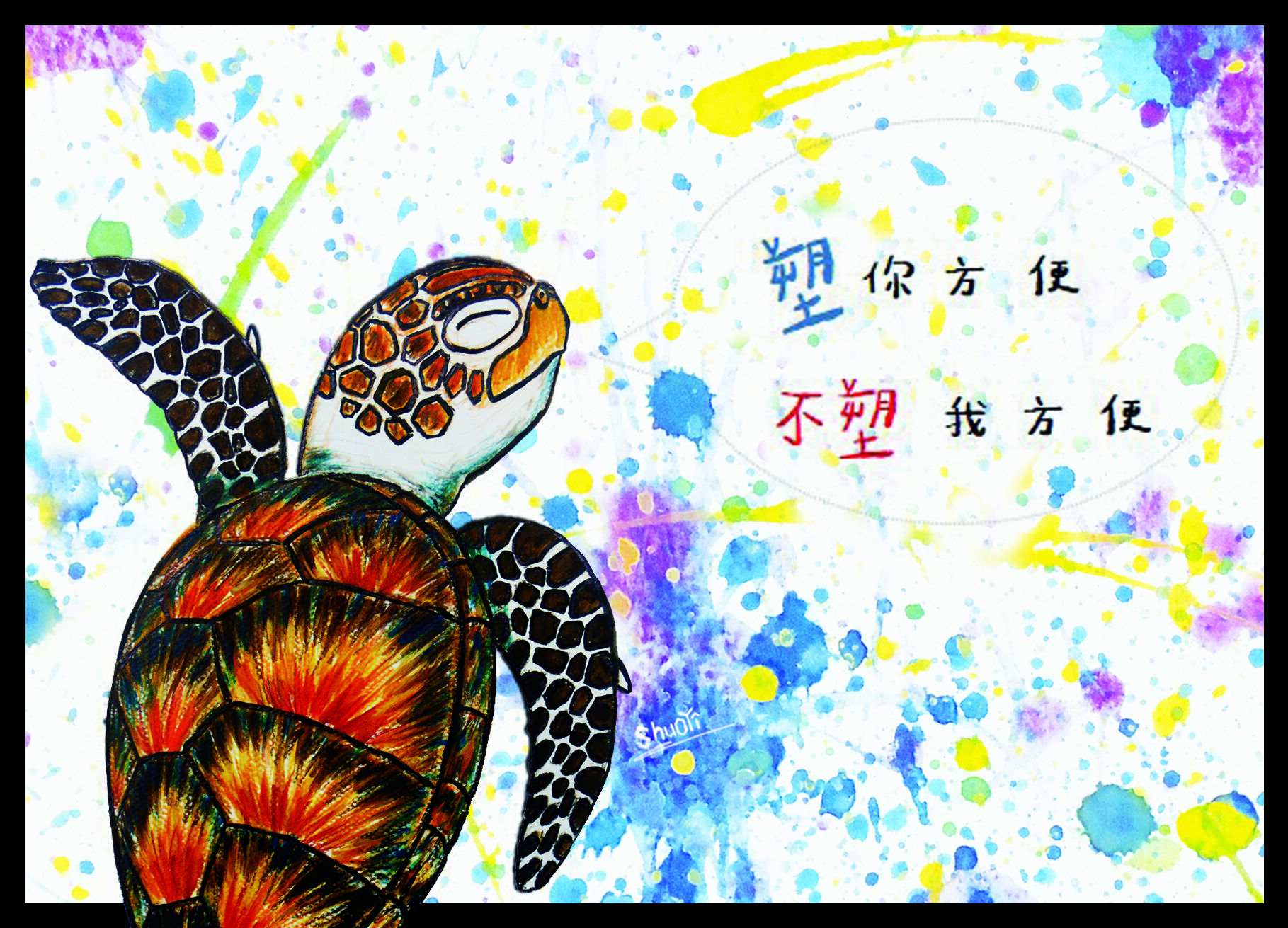 明信片-綠蠵龜