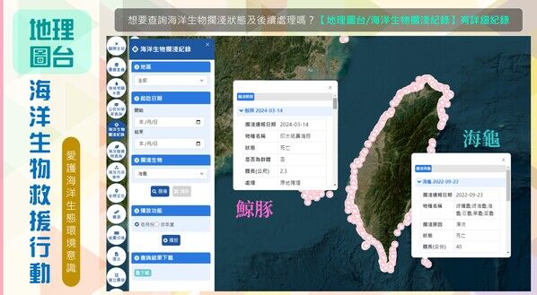資料倉儲地理圖台-海洋生物救援行動