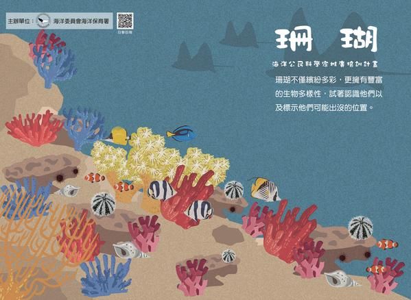 珊瑚礁教具