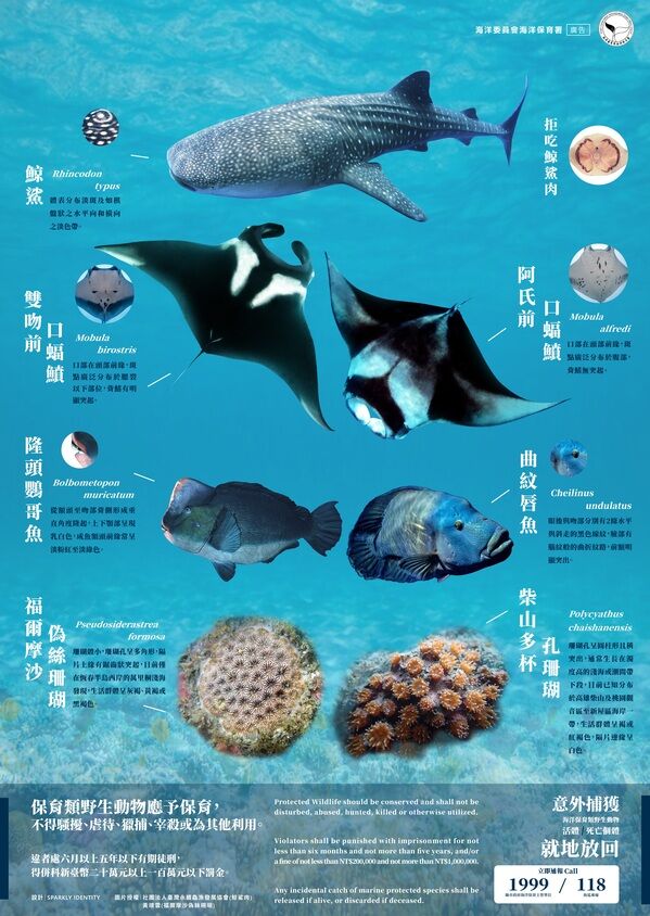海洋保育類野生動物海報