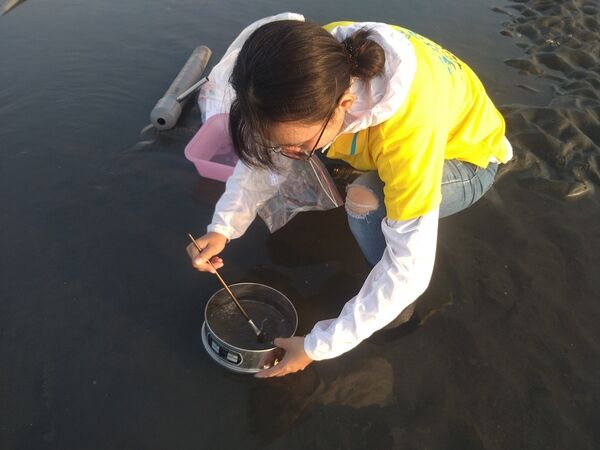 進行底棲生物採集調查