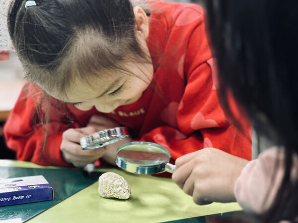 帶領學童認識珊瑚