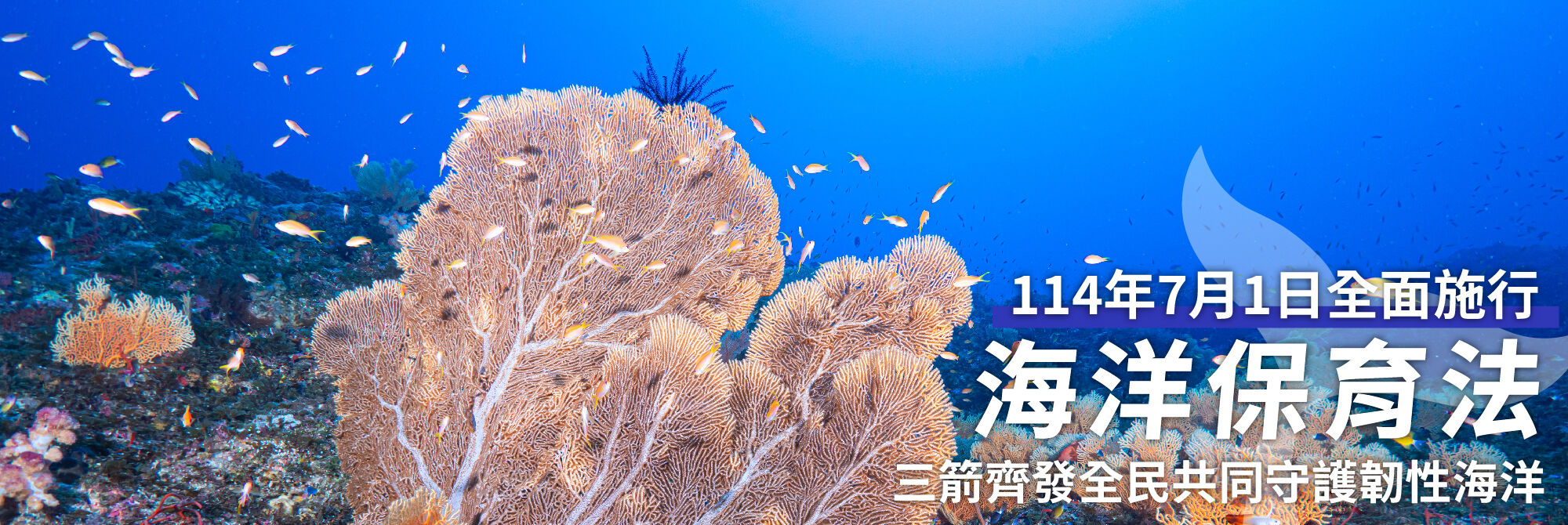海洋保育法全面施行