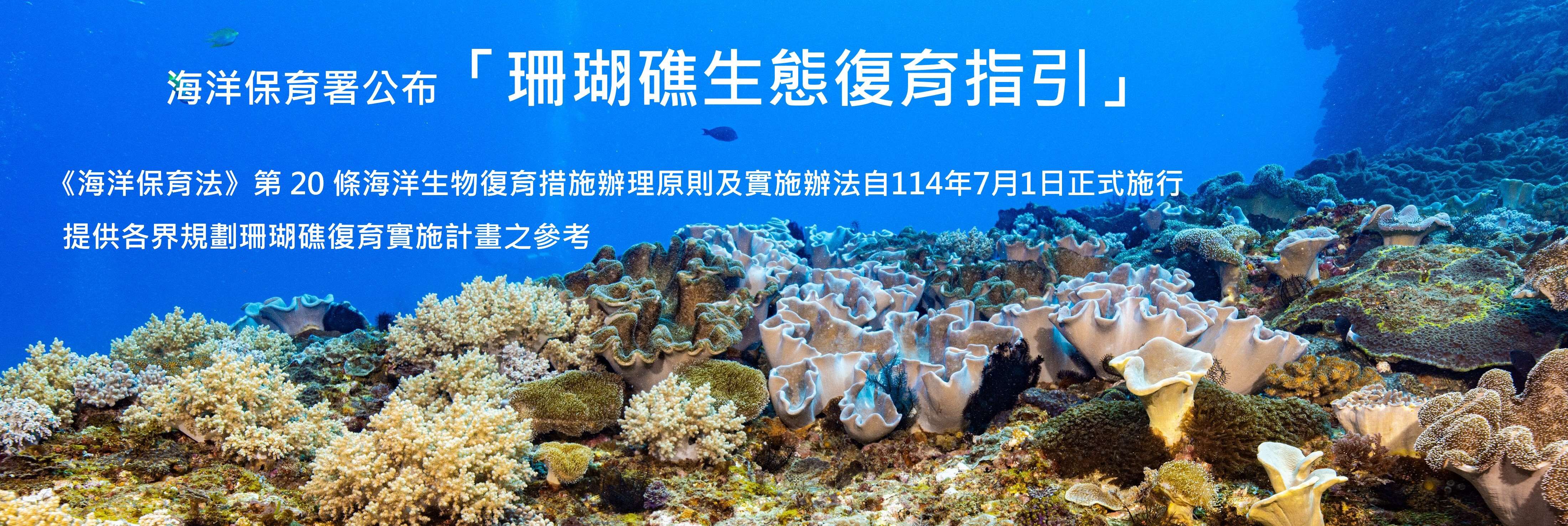 珊瑚礁生態復育指引
