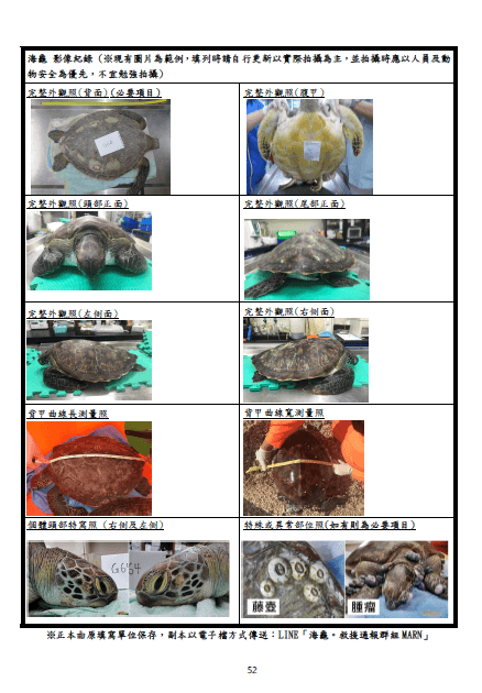 海龜救援紀錄處理單範例