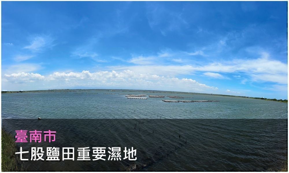 七股鹽田重要濕地照片(點選開啟說明網頁)