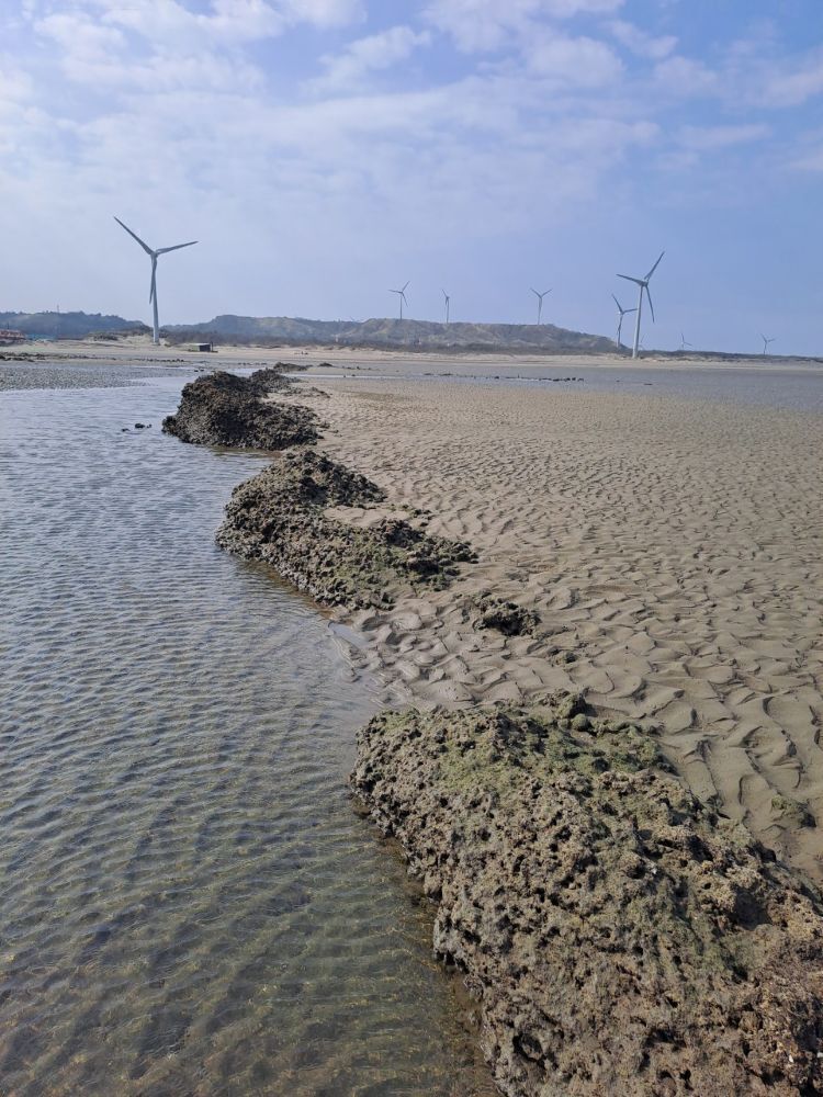 依照《濕地保育法》劃設的西湖重要濕地