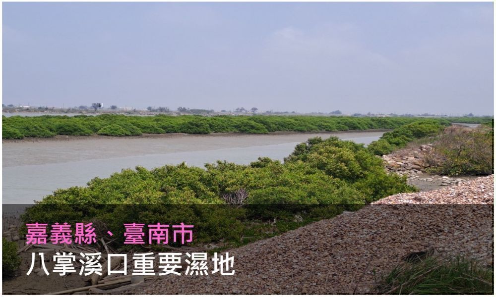 八掌溪口重要濕地照片(點選開啟說明網頁)